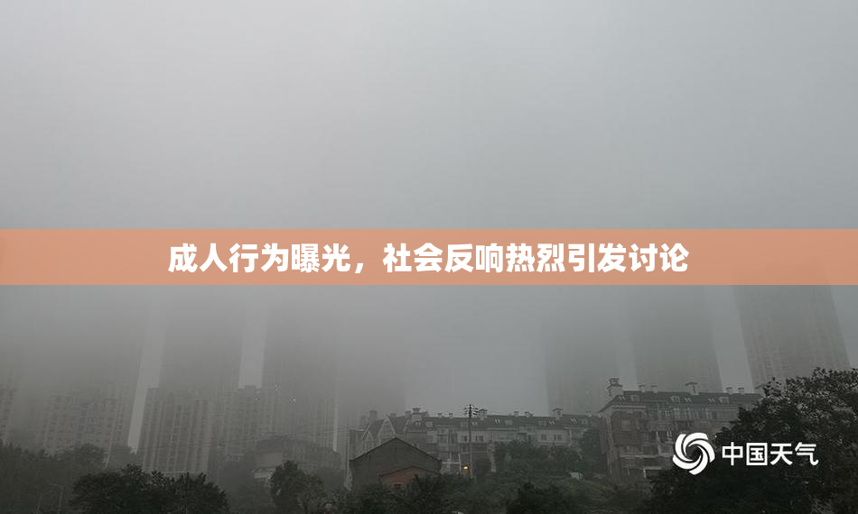成人行为曝光，社会反响热烈引发讨论