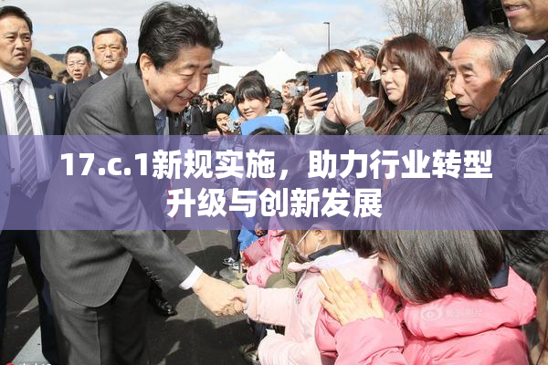 17.c.1新规实施，助力行业转型升级与创新发展