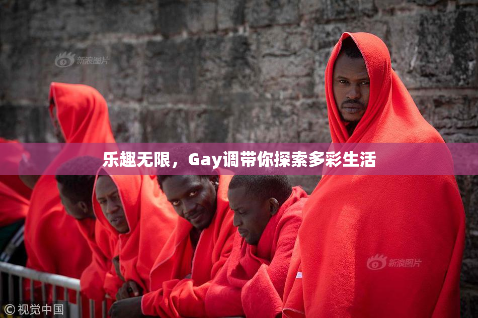 乐趣无限，Gay调带你探索多彩生活