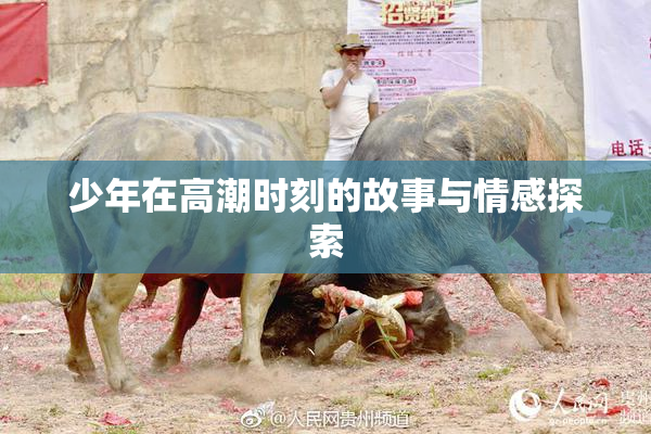少年在高潮时刻的故事与情感探索