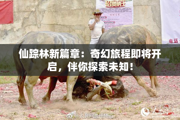 仙踪林新篇章：奇幻旅程即将开启，伴你探索未知！