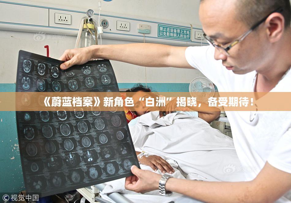 《蔚蓝档案》新角色“白洲”揭晓，备受期待！