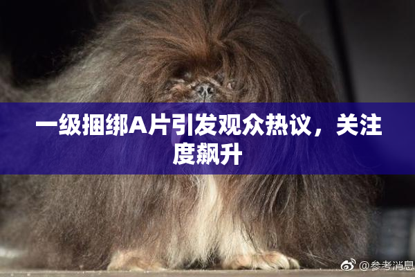 一级捆绑A片引发观众热议，关注度飙升