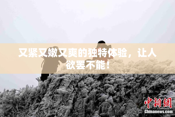 又紧又嫩又爽的独特体验，让人欲罢不能！