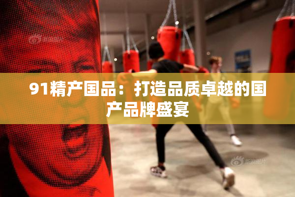91精产国品：打造品质卓越的国产品牌盛宴
