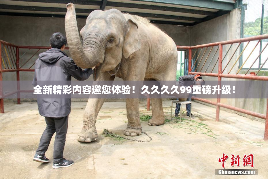 全新精彩内容邀您体验！久久久久99重磅升级！