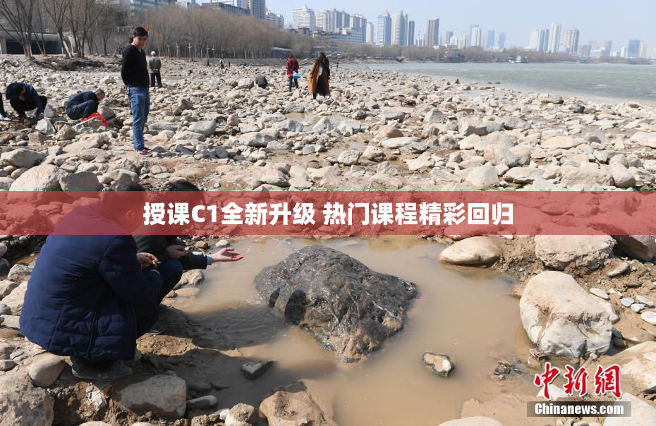 授课C1全新升级 热门课程精彩回归