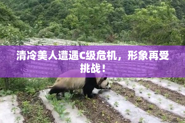 清冷美人遭遇C级危机，形象再受挑战！
