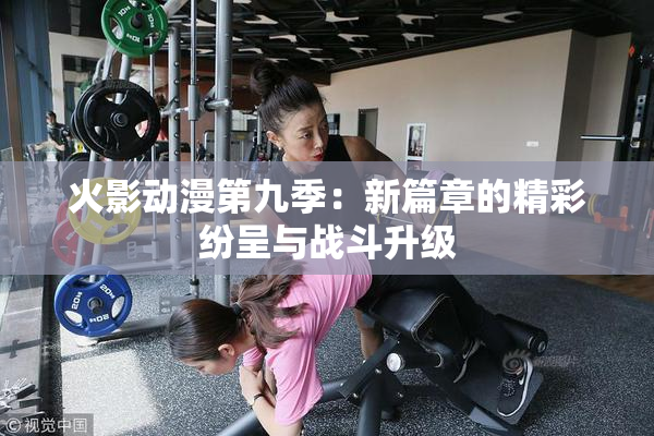 火影动漫第九季：新篇章的精彩纷呈与战斗升级
