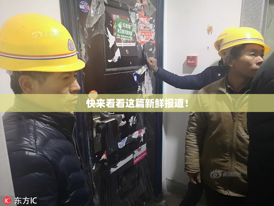快来看看这篇新鲜报道！