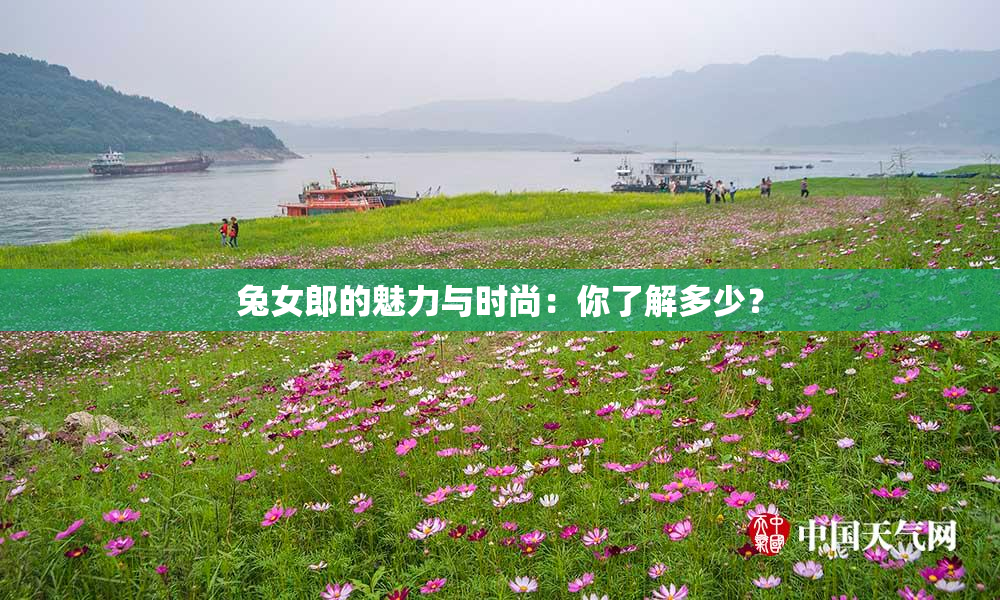 兔女郎的魅力与时尚：你了解多少？