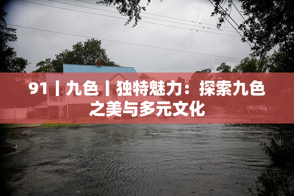 91丨九色丨独特魅力：探索九色之美与多元文化