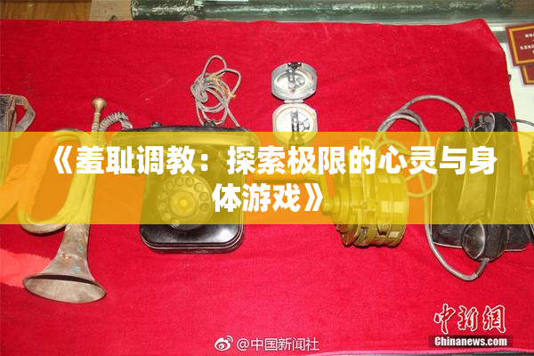 《羞耻调教：探索极限的心灵与身体游戏》