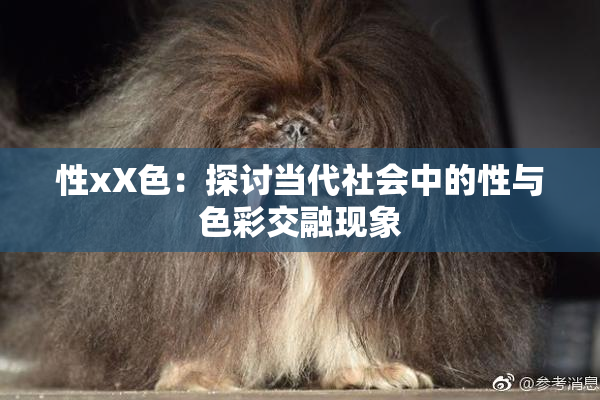 性xX色：探讨当代社会中的性与色彩交融现象