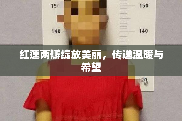 红莲两瓣绽放美丽，传递温暖与希望