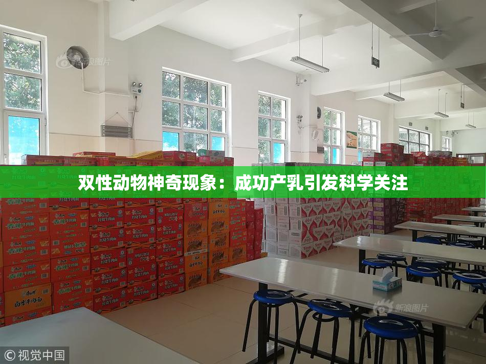 双性动物神奇现象：成功产乳引发科学关注