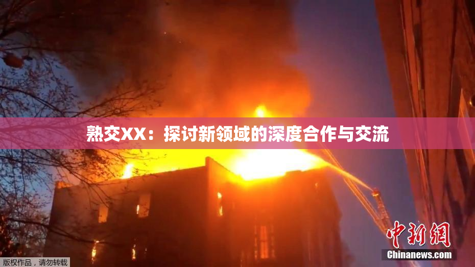 熟交XX：探讨新领域的深度合作与交流