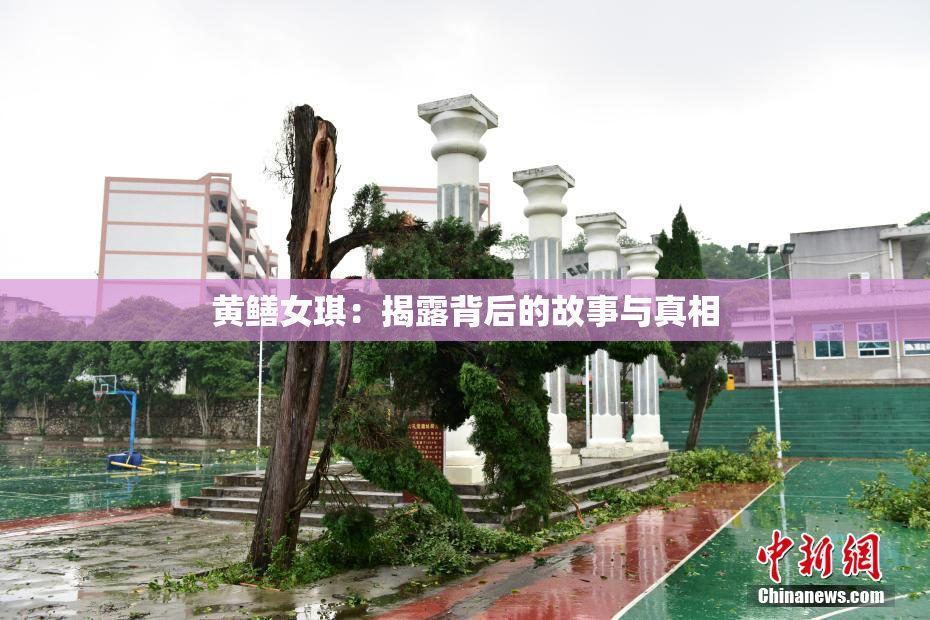 黄鳝女琪：揭露背后的故事与真相