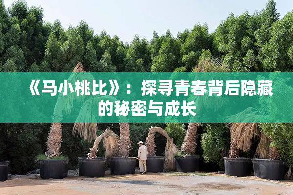 《马小桃比》：探寻青春背后隐藏的秘密与成长