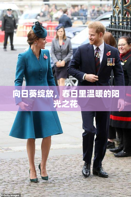 向日葵绽放，春日里温暖的阳光之花