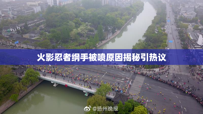 火影忍者纲手被喷原因揭秘引热议