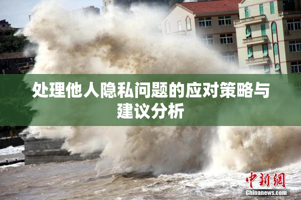 处理他人隐私问题的应对策略与建议分析