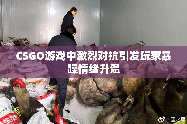 CSGO游戏中激烈对抗引发玩家暴躁情绪升温