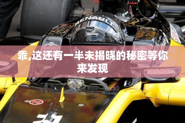 乖,这还有一半未揭晓的秘密等你来发现