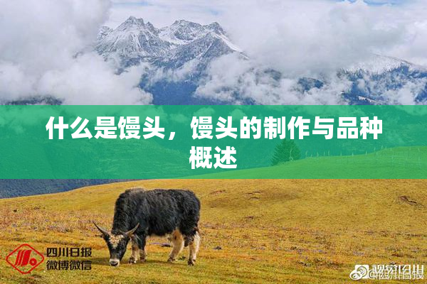 什么是馒头，馒头的制作与品种概述
