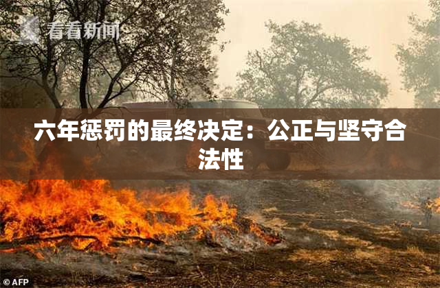 六年惩罚的最终决定：公正与坚守合法性