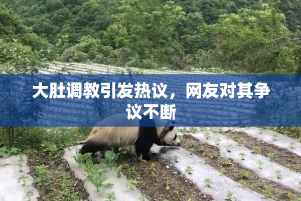 大肚调教引发热议，网友对其争议不断