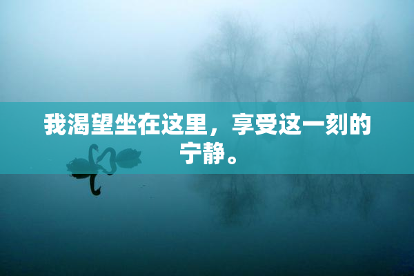 我渴望坐在这里，享受这一刻的宁静。