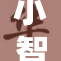 小智与莎莉娜的奇妙冒险展开新篇章