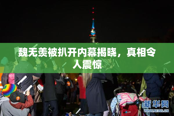 魏无羡被扒开内幕揭晓，真相令人震惊