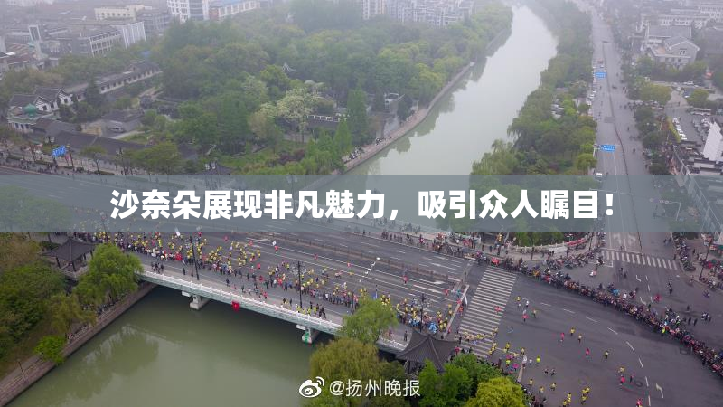 沙奈朵展现非凡魅力，吸引众人瞩目！