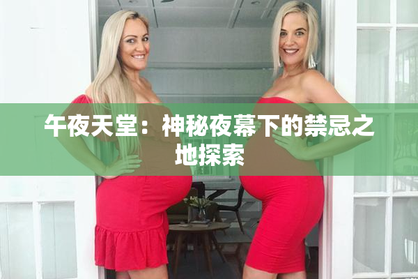 午夜天堂：神秘夜幕下的禁忌之地探索