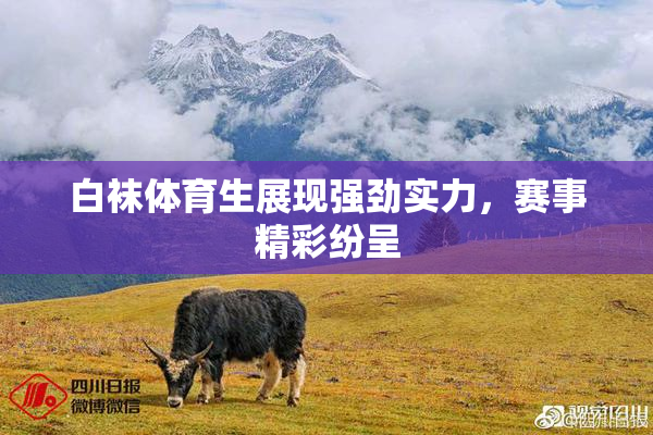白袜体育生展现强劲实力，赛事精彩纷呈