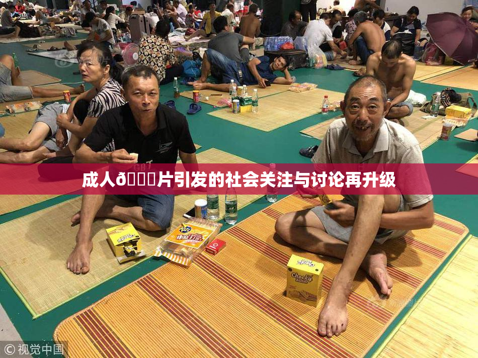 成人🔞片引发的社会关注与讨论再升级