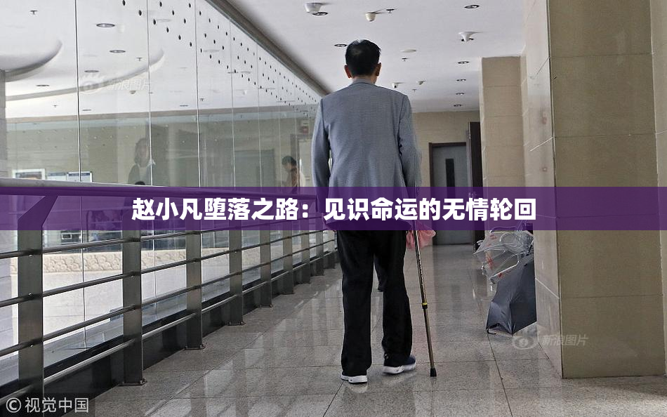 赵小凡堕落之路：见识命运的无情轮回