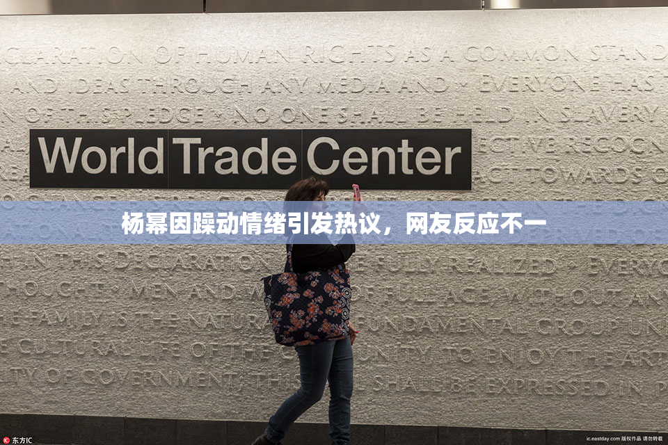 杨幂因躁动情绪引发热议，网友反应不一
