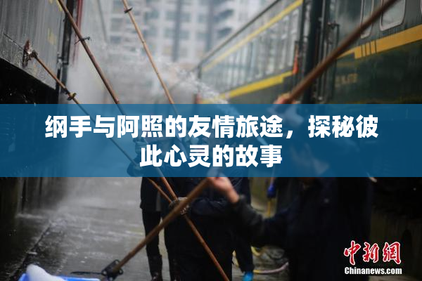 纲手与阿照的友情旅途，探秘彼此心灵的故事