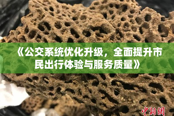 《公交系统优化升级，全面提升市民出行体验与服务质量》