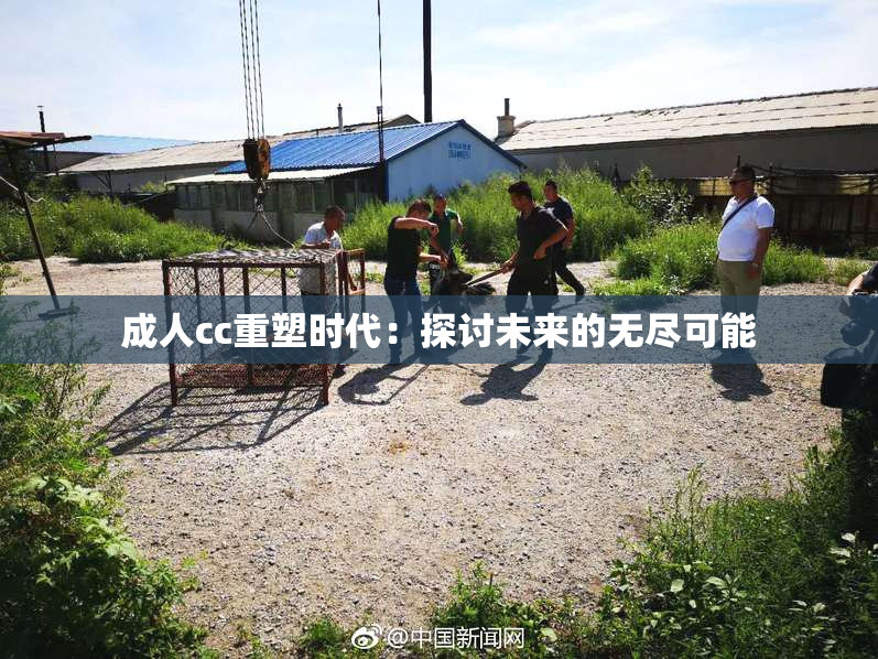 成人cc重塑时代：探讨未来的无尽可能
