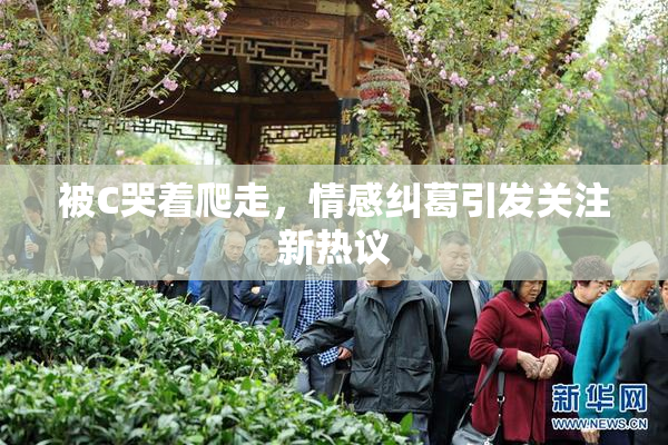 被C哭着爬走，情感纠葛引发关注新热议