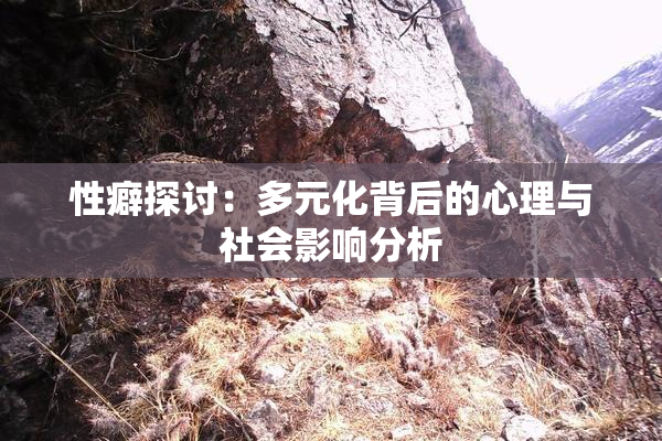 性癖探讨：多元化背后的心理与社会影响分析