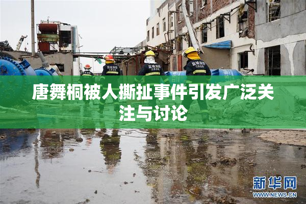 唐舞桐被人撕扯事件引发广泛关注与讨论