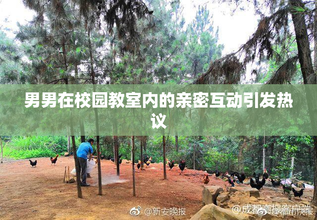 男男在校园教室内的亲密互动引发热议