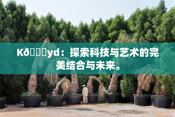 K🈚yd：探索科技与艺术的完美结合与未来。