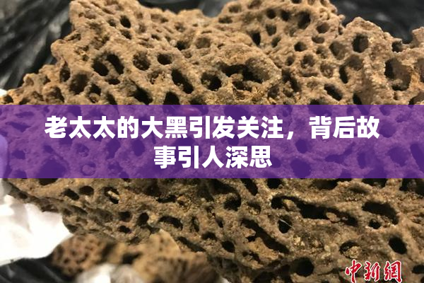 老太太的大黑引发关注，背后故事引人深思