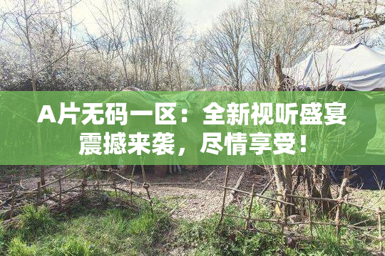 A片无码一区：全新视听盛宴震撼来袭，尽情享受！